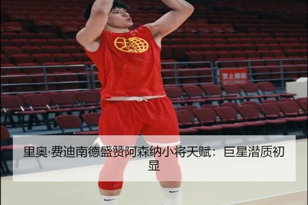 里奥·费迪南德盛赞阿森纳小将天赋:巨星潜质初显